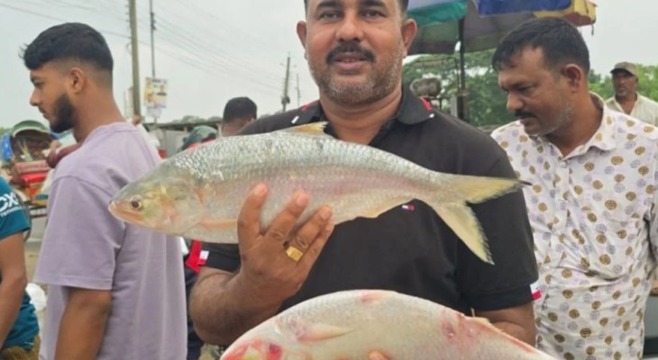 পদ্মার দুই ইলিশের দাম ১৬ হাজার